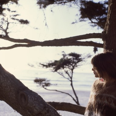 carmel :: 2013 :: ektachrome