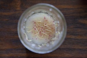 magnolia, you sweet thing |  tennessee | june-july 2012-13 | canon digital images