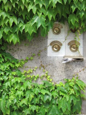 25233_104148219625078_5976851_n